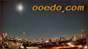 トップレベルドメイン　ooedo.com 大江戸　 超稀少　個人所有　完全未使用