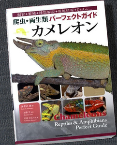 カメレオン-爬虫・両生類パーフェクトガイド｜カラー図鑑＆飼育ガイド 種別生態ガイド 飼育環境 セッティング エサ 接し方 繁殖法 爬虫類