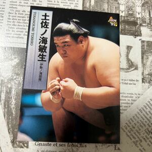 1997BBM 6 土佐ノ海　敏生　相撲カード