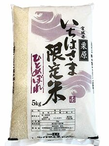 新米 【精米】遊佐 宮城県一迫産限定米 ひとめぼれ 5kg