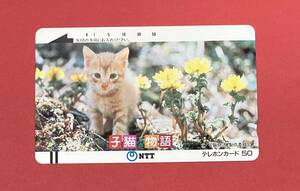 未使用 ♪ 映画 子猫物語 チャトラン テレカ 50度数 テレホンカード テレフォンカード コレクション（管理T275）