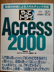 やってトライ!Access2000―実戦的例題によるスキルチェック方式 高橋良明