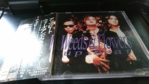 アップビート CD アルバム ウィーズアンドフラワーズ 送料180円 スマートレター