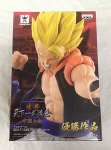 超サイヤ人ゴジータ(フルカラー)　ドラゴンボールZ　造形天下一武道会 中国大会 -GOGETA-