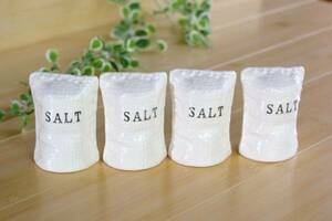 ■白い塩入れ　SALTいれ■ユーモラスな　ずた袋の形■4個セット