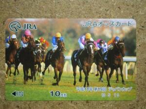 U2411A・JRA　ジャパンカップ　10度　オッズカード