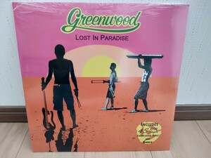 新品 未開封 GREENWOOD LOST IN PARADISE 山下達郎 hawaiian soul AOR light mellow グリーンウッド aloha got soul