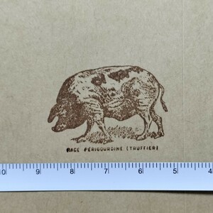ドイツ 豚 動物 輸入スタンプ 手紙 スクラップブッキング ラッピング 包装 文具 手帳 スタンプ はんこ ジャンクジャーナル ラバースタンプ 