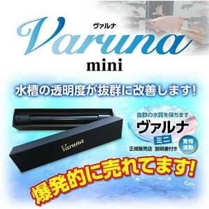 水替え不要になる魔法の筒！【ヴァルナミニ8センチ】病原菌や感染症など有害物質を強力抑制！透明度が抜群になります☆水槽に入れるだけ！