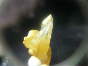 国産鉱物　奈良県　五代松　黄色水晶　イエロークォーツ　レモンクォーツ　細身　2本　ミニクラスター　良標本　定型外発送