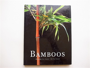 1902　Bamboos