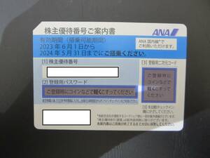 #36354　未使用　ANA株主優待券　全日空　1枚　2024年5月31日迄