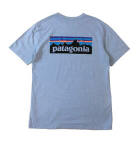 PATAGONIA パタゴニア 半袖Tシャツ カットソー ロゴ バックプリント ブルー メンズ M 送料250円