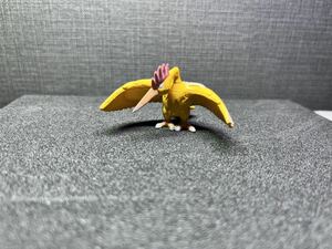 ポケモン モンコレ 初期　オニドリル