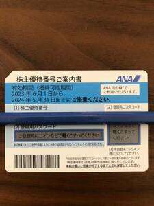 ANA 全日空 株主優待券