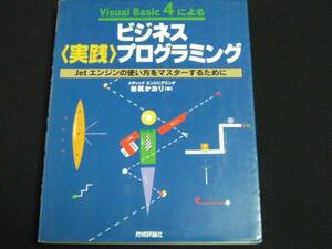 ‡Visual Basic4によるビジネス実践プログラミング 定価2480円