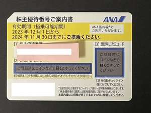 ANA 株主優待券（有効期間2024年11月30日）