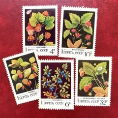 58 外国切手 未使用 ロシア 1982年 植物 5種