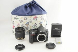 [美品] Nikon ニコン D5300 + AF-P 18-55mm レンズ #1423AB