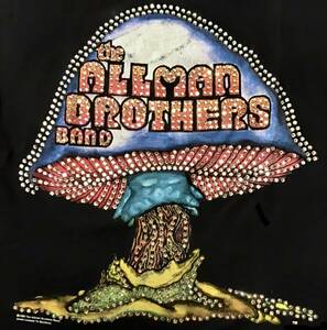 Super SPECIAL 最初期 アート GREAT CHINA WALL 中国長城 Vintage Allman Brothers バンド ロック Tシャツ / Ron Herman AMIRI Supreme