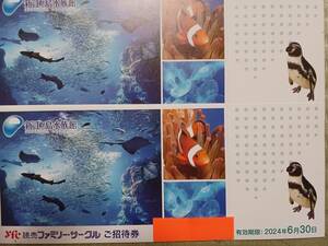 『新江ノ島水族館』招待券2枚セット 有効期限2024年6月３０日