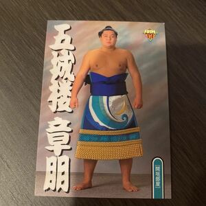 ９９BBM　６１　五城楼　章朋　大相撲カード