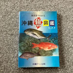 島言語（シマクトゥバ）でわかる沖縄魚図鑑 沖縄マリン出版 和名索引・沖縄方言索引、おいしい食べ方 海水魚 