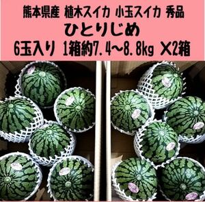 【送料無料◎1スタ!】熊本県産 植木スイカ 小玉スイカ 秀品 1箱約7.4~8.8kg 6玉入り×2箱セット