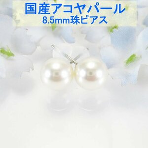 【SJ】新品 SV925 国産アコヤパール8.5mm ピアスジュエリー ASP85W