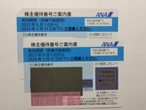 ANA株主優待券　2024年5月末迄　2枚セット