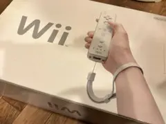 Nintendo Wii 各種コントローラとゲームソフト7本付き