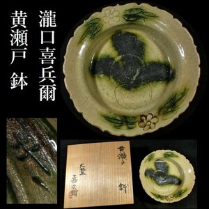 c1020 瀧口喜兵爾 作 黄瀬戸 大根花文 鉢 共箱あり