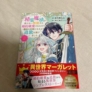 精霊魔法が使えない無能だと婚約破棄されたので、義妹の奴隷になるより追放を選びました　２ 