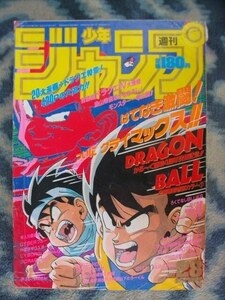 ドラゴンボール DRAGON BALL 表紙＆巻頭カラー掲載 週刊少年ジャンプ１９８９年２８号 美品 孫悟空 ベジータ