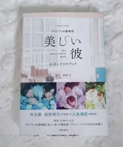 TVドラマ&劇場版「美しい彼」公式シナリオブック