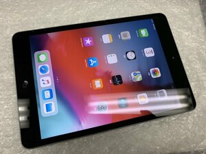 JJ499 iPad mini 第2世代 Wi-Fiモデル A1489 スペースグレイ 16GB ジャンク ロックOFF