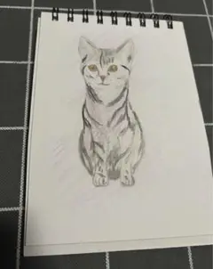 猫　色鉛筆画　原画