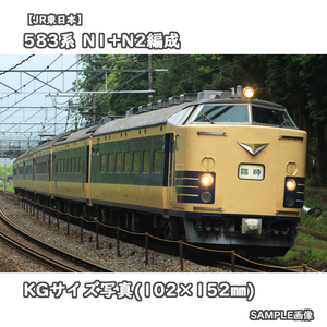 ◎KG写真【JR東日本】583系電車 N1+N2編成 ■臨時 □撮影:東海道本線 2016/4/27［KG0794］