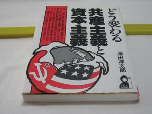 どう変わる　共産主義と資本主義　澤田洋太郎　エール出版社・ソ連と中国の仲が悪かった理由 共産主義と社会主義はどう違うのか 日本共産党