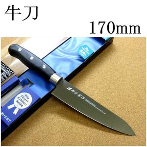 関の刃物 牛刀 17cm (170mm) 濃州正宗作 モリブデン チタンコーティング 家庭用の洋包丁 肉 魚 野菜切り パン切り 両刃万能包丁 日本製