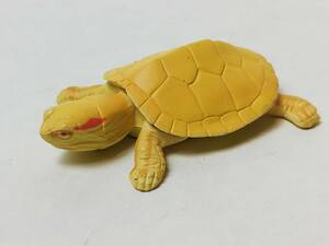 ミドリガメ アルビノ チョコエッグ ペット動物コレクション 第1弾 フルタ製菓 海洋堂 食玩 ミニフィギュア レア