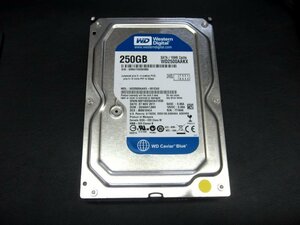 [150]【送料込】SATAハードディスク3.5inch 250GB WD2500AAKX 正常作動品