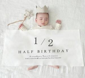 ハーフバースデー 飾り付け 祝い 1/2 誕生日　赤ちゃん ベビー 誕生日 おうちフォト 撮影 タペストリー