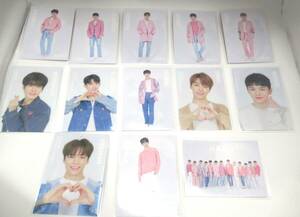 B17 〇SEVENTEEN 『2019 JAPAN TOUR HARU』 トレカ13枚セット　Photocard セブンティーン K-POP　被りなし