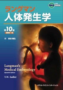 [A01128157]ラングマン人体発生学 第10版