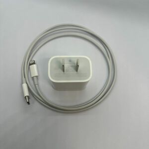 20W USB-C電源アダプタとライトニングケーブル 充電器 iPad 付属品 Apple Lightning充電ケーブル 