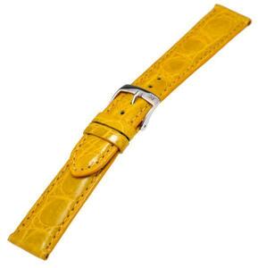 MORELLATO AMADEUS 腕時計ベルト クロコダイル Yellow(097) 16mm