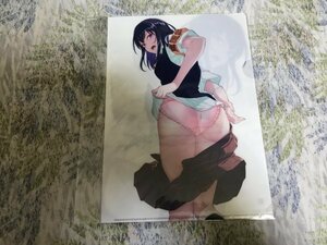 534クリアファイル　嫌な顔されながらおパンツ見せてもらいたい　40原) C102/アニマルマシーン　とらのあな特典