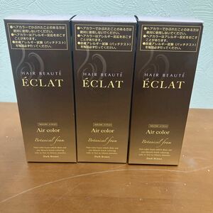 ヘアボーテ エクラ ボタニカル エアカラーフォーム ダークブラウン 白髪染め 80g×3個　②