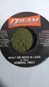 Dancehall Classics Revolution Riddim Single 2枚Set from Dream Entertainment Admiral Tibet I Wayne